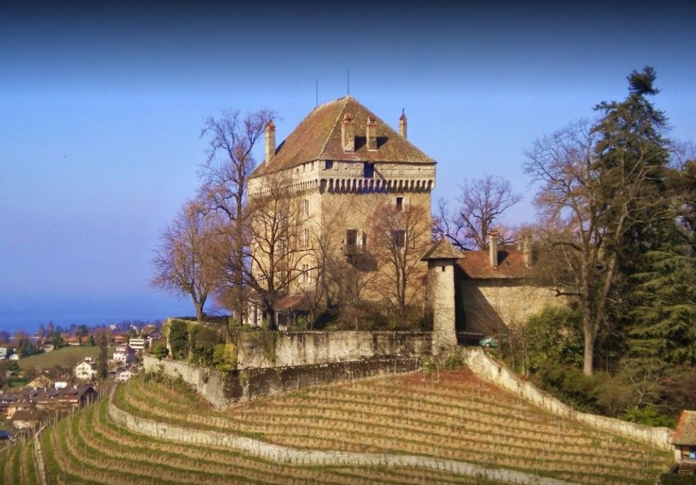 Restauration de fenêtre sur le domaine du Châtelard