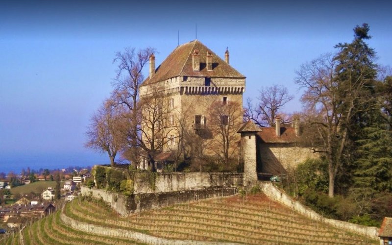 Restauration de fenêtre sur le domaine du Châtelard