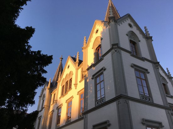 Image Le Château de l'Aile à Vevey